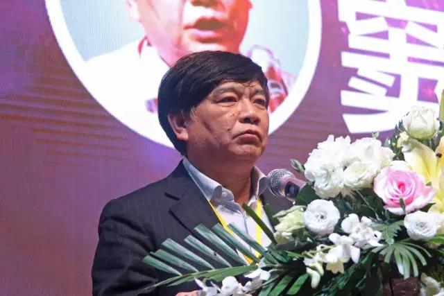 中國炤(zhao)明(ming)學會祕書長竇林平.jpg
